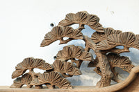 Carved ranma EZ2853ab