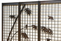 竹雀装飾を施した落ち着いた眺めの書院セット　EZ2865　在庫4枚一組