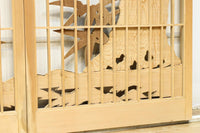 Ranma and Shoin Set EZ2870