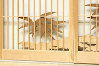 Ranma and Shoin Set EZ2870