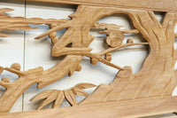 Ranma material EZ2874ab