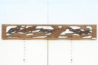 Ranma material EZ2875