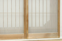 Shoin EZ2906