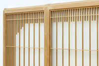 Shoin EZ2906