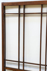 Antique material EZ2946