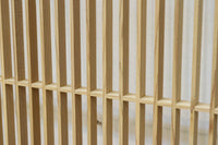 Shion EZ2965
