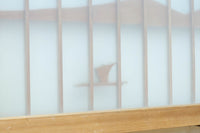 Ranma&Shoin Set EZ2970