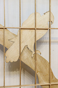 Shoin　EZ3040