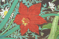 Ranma　EZ3106ab