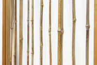幅869ミリ　繊細な竹の並びに風情漂う格子戸　F7932　在庫2枚