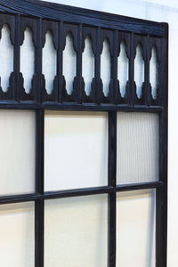 Glass door F8055