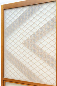 Glass door F8056