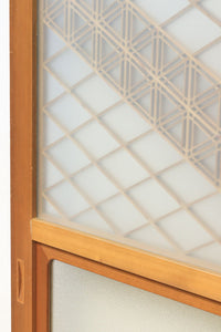 Glass door F8057