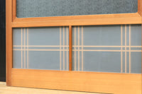 Glass door F8057