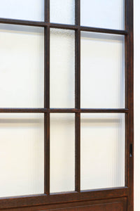 Glass door F8083