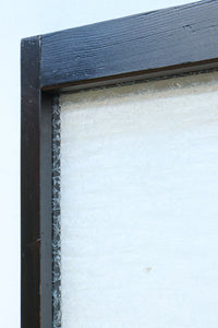 Glass door F8141