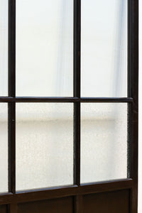 Glass door F8157