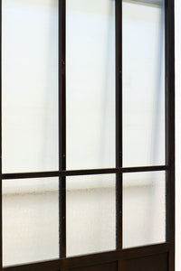 Glass door F8157