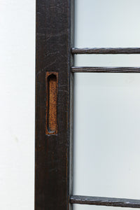 Glass door F8165