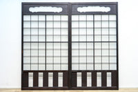 Glass door F8165