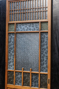 Glass door F8175