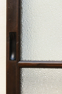 Glass door F8192