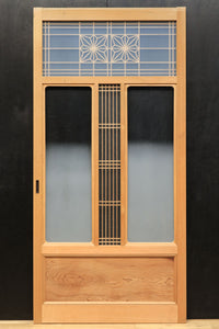 Glass door F8194a