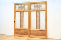 Glass door F8194a