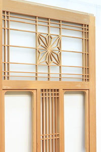 Glass door F8194b