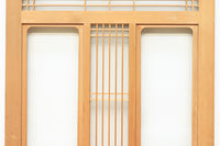 Glass door F8194b