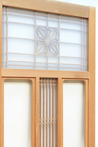 Glass door F8194b