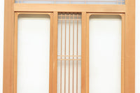 Glass door F8194b