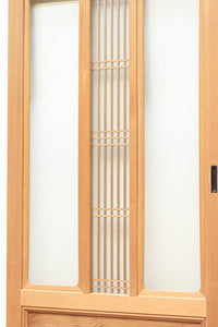 Glass door F8194b