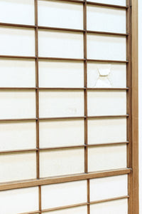 Shoji door F8207