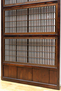 Lattice door F8236