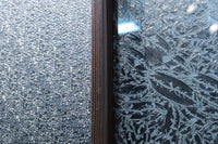 Glass door F8259