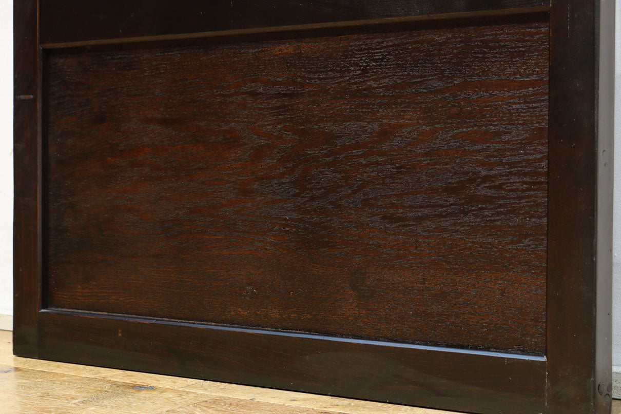 F8435 Slim Lattice door 