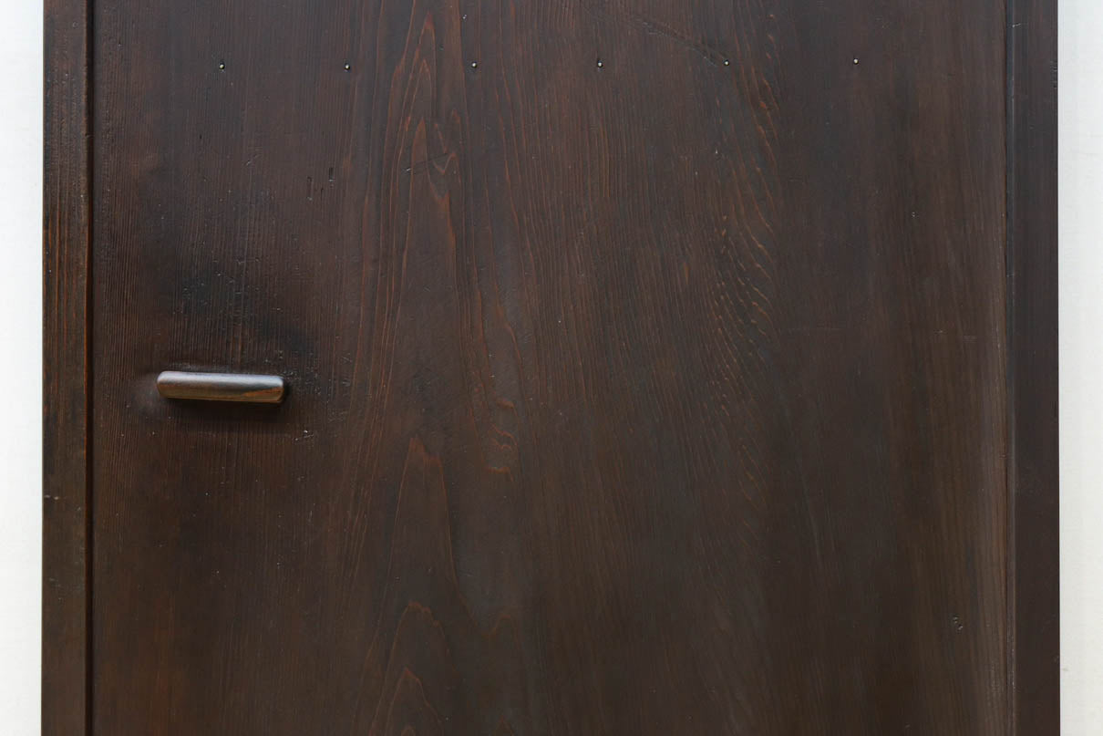 Slim size Glass door F8450