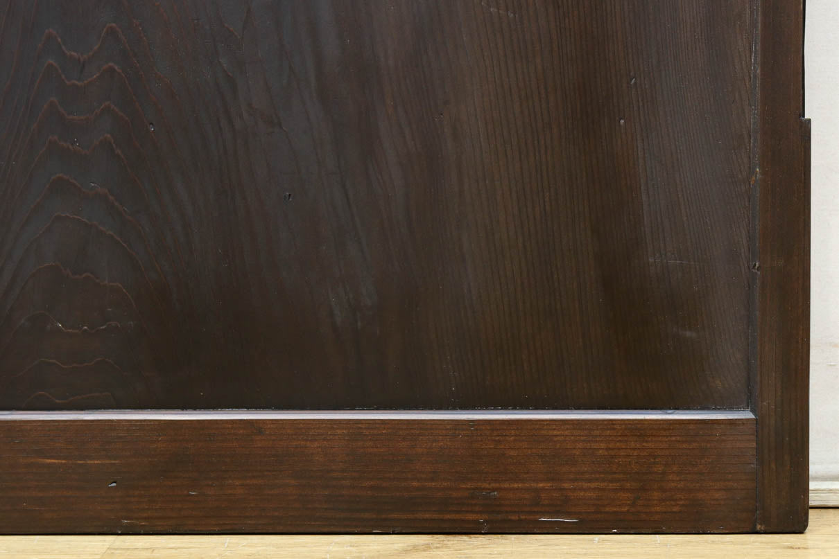 Slim size Glass door F8450