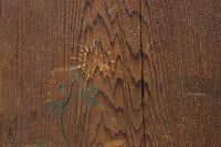 唐獅子の親子に牡丹を添えた歴史を重ねた味わい深い絵戸一組　F8481ab　在庫2枚一組