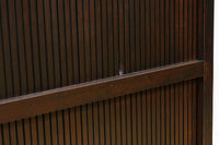 幅673ミリ　スリム幅！！ 繊細な格子を設けた透かし千本格子板戸　F8501　在庫4枚