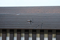 Osaka Lattice door F8518 