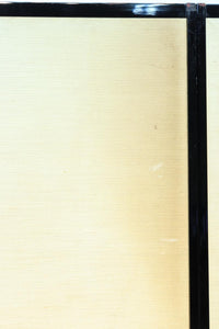 清楚な花模様を描いた丁寧な造りの襖戸　F8563　在庫2枚一組