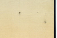 清楚な花模様を描いた丁寧な造りの襖戸　F8563　在庫2枚一組