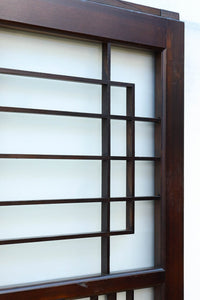 Glass door F8586