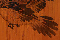 鷹と雉と梅の縁起良い板絵戸セット　F8593　在庫2枚1組