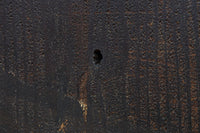 幅860ミリ　東海道から望む富士を描いたのか風情漂う素晴らしい板絵戸セット　F8594　在庫2枚1組