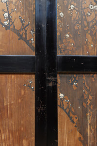 小菊と白梅の花で華やかな板絵戸セット　F8602a　在庫2枚1組