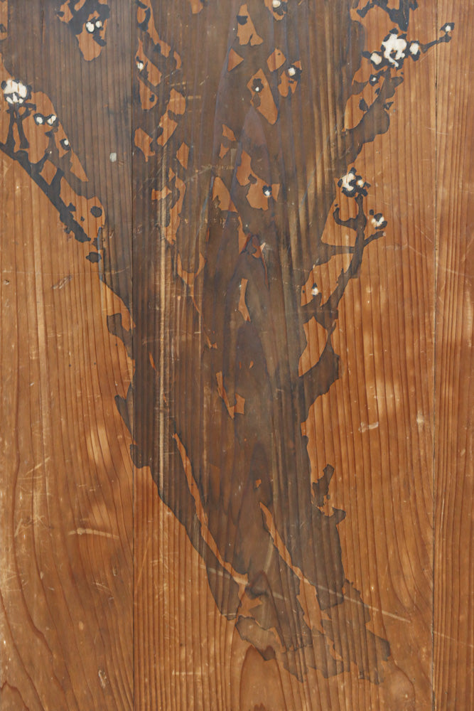 小菊と白梅の花で華やかな板絵戸セット　F8602a　在庫2枚1組