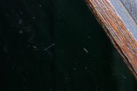 Glass door F8618